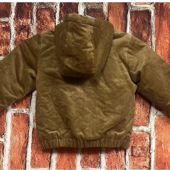 Baby GAP Toddler 3T Brown Corduroy Jacket – Sherpa-Lined Hood - Picture 2 of 2